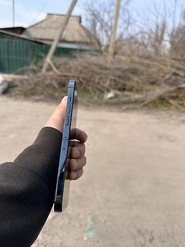 Apple iPhone: IPhone 12 Pro Max, Sierra Blue, Кабель — 4