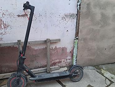 suru: Puroblmi yoxdu tax zarqya sur bir kirlosu qrxti ama surmek olr — 1