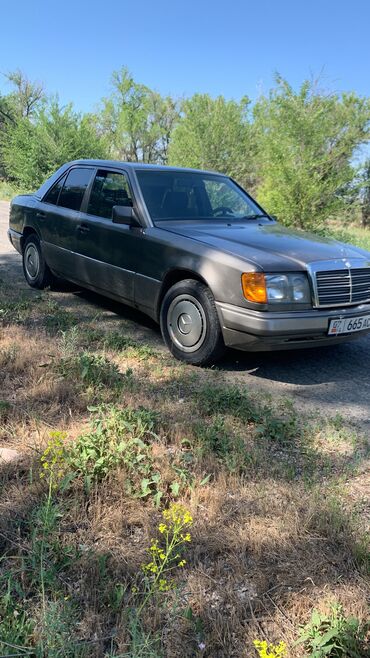Mercedes-Benz: Mercedes-Benz 230: 1992 г., 2.3 л, Механика, Бензин, Седан — 3