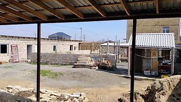 ucuz evlet: Biznes üçün, Kupça (Çıxarış) — 10