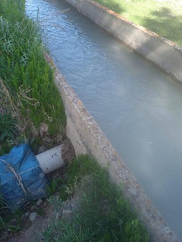 Продажа участков: 194 соток, Для бизнеса, Красная книга — 3