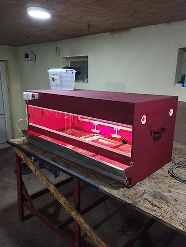 Товары и оборудование для с/х животных: Брудер!!!делаю на заказ брудера для цыплят. полный комплект сделан из — 9