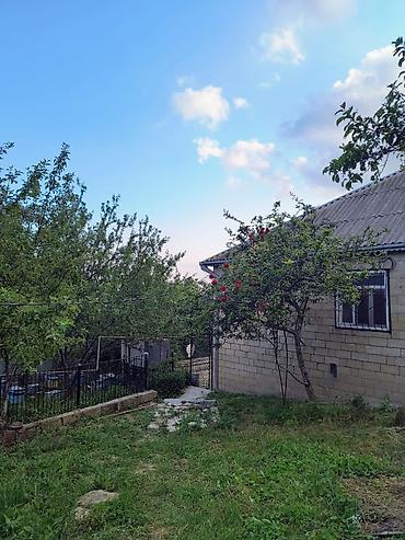 bina.az english: Avaxıl Dağ və meşə mənzərəli həyət evi - Geniş yaşıllıqla əhatəli — 1