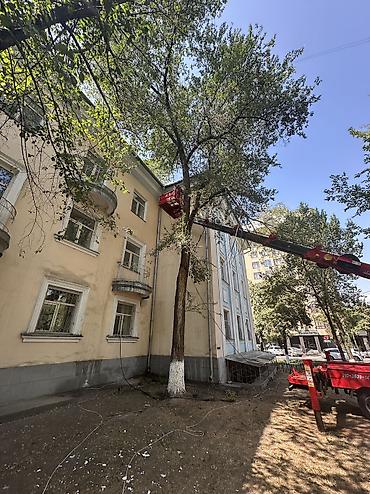 Побелка: Побелка стен, Побелка потолков, Наружная побелка | Известковая побелка, Мелковая побелка Больше 6 лет опыта — 38