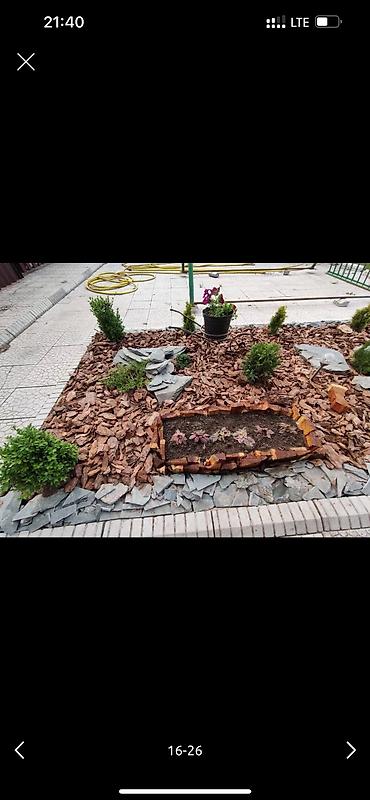 Дворники, садовники: 🌱Я садовник приходящий раз в неделю уборку сада генеральный уборка at lalafo.kg — 13 Дворники, садовники: 🌱Я садовник приходящий раз в неделю уборку сада генеральный уборка — 13