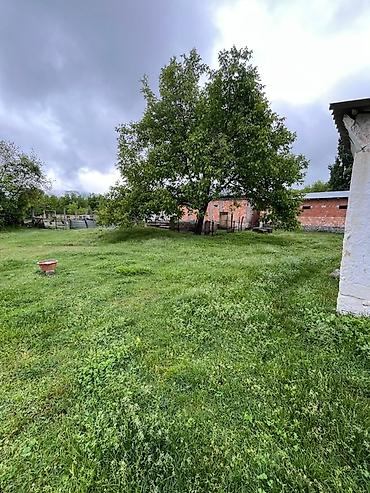 midada ev satilir: 14 sot, Tikinti, Mülkiyyətçi, Kupça (Çıxarış) — 5