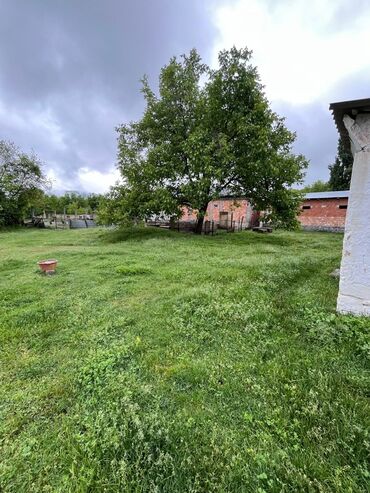 Torpaq sahələrinin satışı: 5 sot, Kənd təsərrüfatı -da lalafo.az — 2 Torpaq sahələrinin satışı: 5 sot, Kənd təsərrüfatı — 2