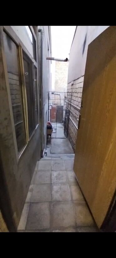 Uzunmüddətli kirayə evlər: 40 kv. m, 1 otaqlı, Qaz, İşıq, Su — 16