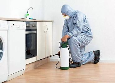 Дезинфекция, дезинсекция: Дезинфекция, дезинсекция, | Клопы, Тараканы, | Кафе, магазины, Квартиры, Дворы — 3