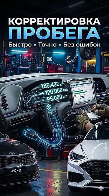корректор для машины: Услуга: корректировка пробега автомобиля - Электронная правка — 1