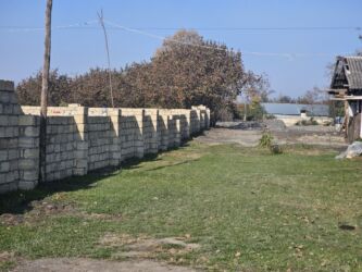 Şlanqlar: Qəbələ Rayon Mirzəbəyli kədi Oğuz qax şəki yolnun yanı 14 soot kupcalı — 10