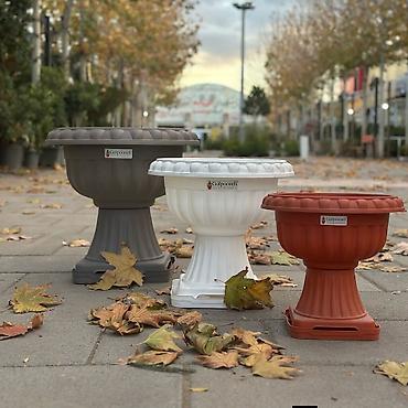 Bitkilər üçün dibçəklər: Dibcek– Müxtəlif Ölçülər və Münasib Qiymətlər Ev və bağ üçün müxtəlif — 1