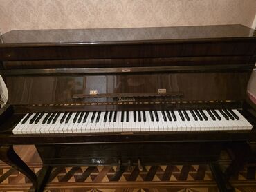 Digər musiqi alətləri: Piano, Weinbach, Akustik