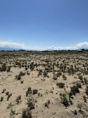 Продажа участков: 8 соток, Для сельского хозяйства, Договор купли-продажи — 4