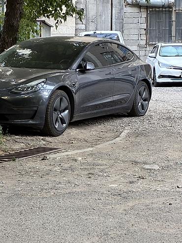 солярка оптом: Tesla Model 3: 2020 г., Электромобиль — 3