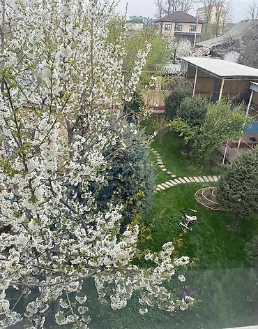 Sale of cottages and houses: 🚀продается дом 2этажный дом 🚀Уникальный Дом в Центре Бишкека — — 17