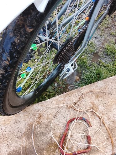 Mountain bikes: SAFT dağ velosipedi - Qalın protektorlu 26” təkərlər, disklərdə — 10