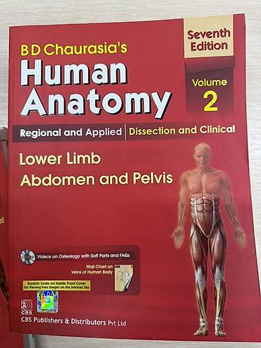 мозг: Полный комплект учебников B. D. Chaurasia’s Human Anatomy, 7-е, 6-е — 3