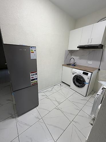 Батирлерди ижарага берүү: 1 бөлмө, Көлмө ж/м Менчик ээси, Жаныбарлары жок, 3 айдан баштап, Жарым -жартылай эмереги бар — 10