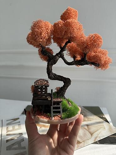 Декоративные цветы: Мини-дерево Бонсай из живого стабилизированного мха 🌿 ✅Цены указаны — 33