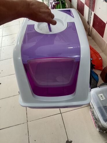 Коровы, быки: Biotualet piwikler ucun 35 azna