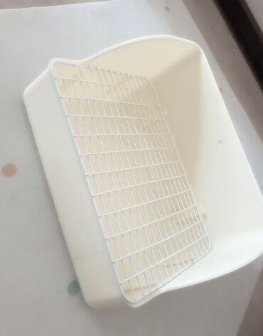 Декоративные кролики: Полный набор для содержания декоративного кролика. В комплекте: - — 24