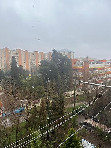 Qonaq otağı dəstləri: Divan -da lalafo.az — 17 Qonaq otağı dəstləri: Divan — 17