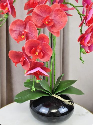Декоративные цветы: Орхидея искусственная для декора в керамическом горшке Орхидея — 22