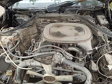 сиз 82 1: Mercedes-Benz W124: 1989 г., 2.3 л, Кол менен иштөөчү, Бензин, Универсал — 7