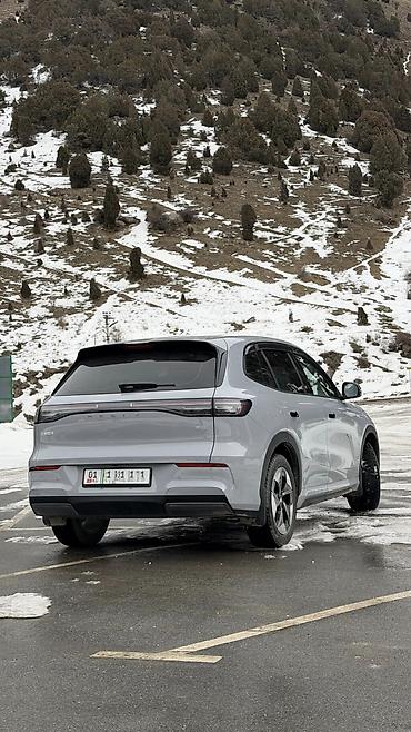 Geely: Geely : 2025 г., Электромобиль, Кроссовер — 3