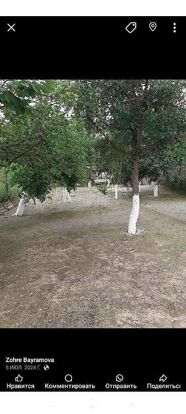 demir su cenleri: Heyat evi — 2