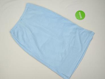 sukienka chabrowa plus size: Spódnica damska, rozmiar 3XL — 2
