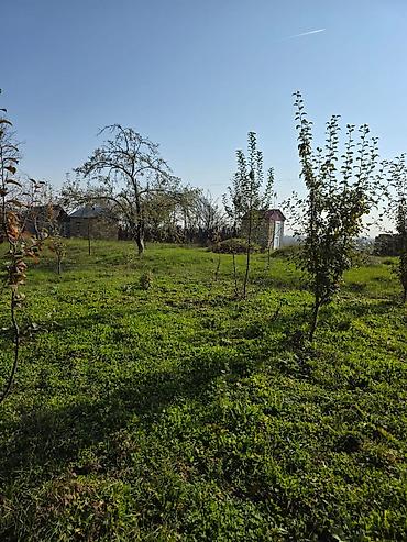 Su təchizatı: Sanitar-quraşdırma və hamam-tualet təmiri xidməti Təklif olunan — 65