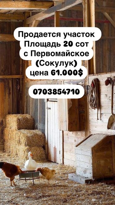 Продажа домов: 20 соток, Для строительства, Договор купли-продажи, Красная книга, Тех паспорт