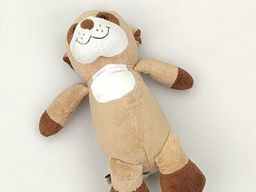 Mascot condition - Perfect