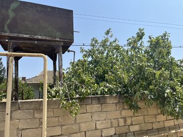 Torpaq sahələrinin satışı: 6 sot, Mülkiyyətçi, Kupça (Çıxarış) — 7