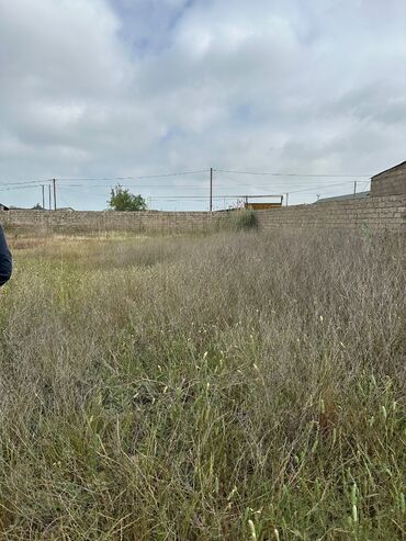 Torpaq sahələrinin satışı: 20 sot, Tikinti, Mülkiyyətçi, Bələdiyyə -da lalafo.az — 9 Torpaq sahələrinin satışı: 20 sot, Tikinti, Mülkiyyətçi, Bələdiyyə — 9