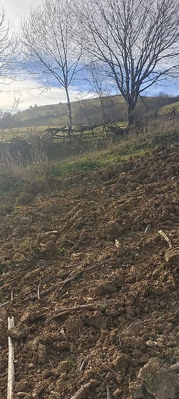 Torpaq sahələrinin satışı: Kənd təsərrüfatı — 4