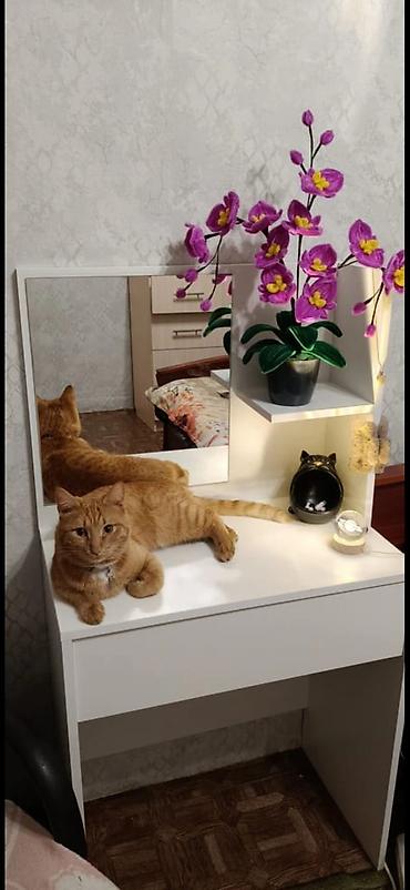 standing mirror: Туалетный столик, Новый, С зеркалом, цвет - Белый, ЛДСП — 8