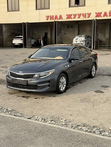 аренда kia optima: Kia Optima: 2017 г., 2.4 л, Автомат, Бензин, Седан — 4