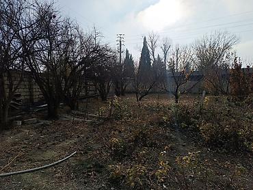 Torpaq sahələrinin satışı: 25 sot, Kənd təsərrüfatı, Mülkiyyətçi, Kupça (Çıxarış) -da lalafo.az — 18 Torpaq sahələrinin satışı: 25 sot, Kənd təsərrüfatı, Mülkiyyətçi, Kupça (Çıxarış) — 18