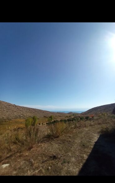 Другие товары для дома и сада: Продается действующий бизнес кашар вместе с садом для разведения скота — 6