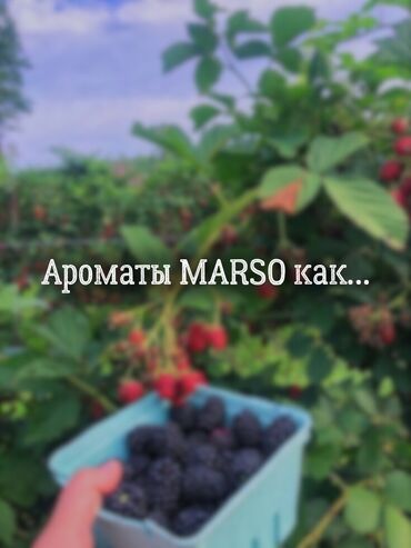 кето кофе для похудения побочные эффекты: 🔥 Духи MARSO — роскошь по доступной цене! Всего 2500 сом! 🔥 Хочешь