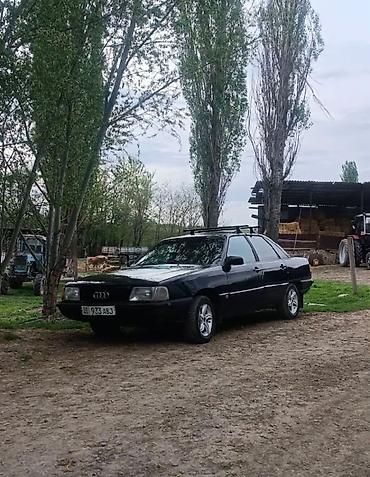 газ метан торпеды: Audi 100: 1987 г., 2 л, Механика, Газ — 3