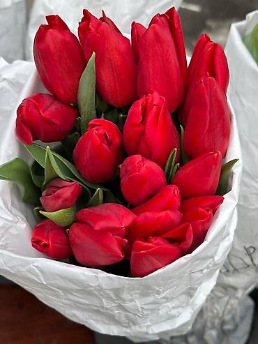 Букеты из живых цветов: ТЮЛЬПАНЫ ОПТОМ от 100шт Голландские привозные тюльпаны с луковицей — 3