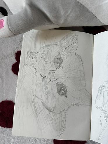 sketch book: Всем привет! Рисую ваших любимых питомцев (да и не только их) по фото — 1