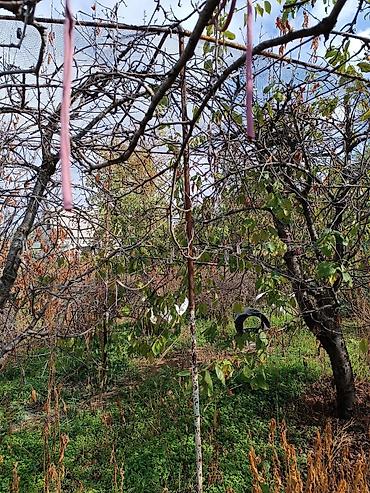 Продажа домов: Дача, 10 м², 4 комнаты, Собственник, Старый ремонт — 13