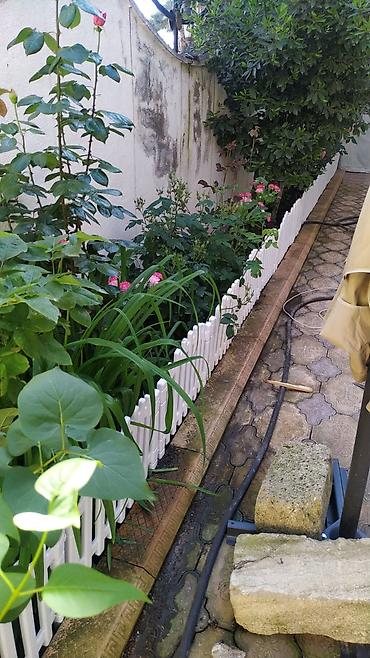 güllər: Güllərin qiraqi üçün çəpər paçkada 2.50sm olur türkiyə istehsalidi — 2
