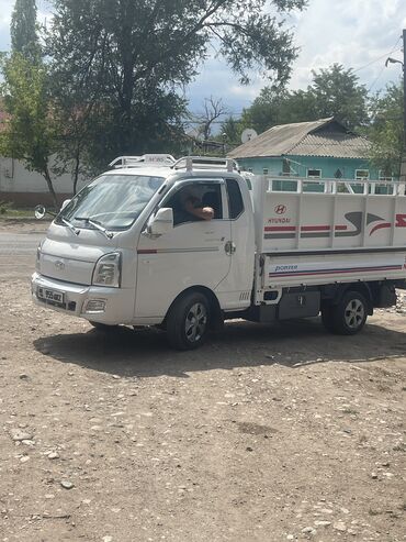 серебристая шиншила: Вывоз мусора вывоз мусоро вывоз мусоро вывоз мусора вывоз мусора вывоз