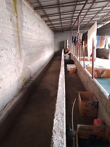 Продажа коттеджей и домов: Продаётся дача с хозяйственными постройками и просторным двором. - — 7